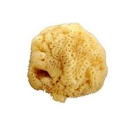 Natural Sea Sponge 15-16 cm