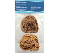 Natural Sea Sponges for Artists and professionals - 2 pcs pack - sizes 4.5' - 5,5' - Perfect for Wall Painting, decorating,Texturing, Marbling, Faux Finishes, Crafting & More