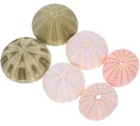 Natural Sea Urchin & Conch Shells Aquarium Decor Set, 6pcs Mixed Ornaments for Fish Tank Landscape, Coastal Home Office Decor