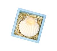 Natural Shell Adorned Writing Notebook with 30 Sheets Unruled for Students and Artists Journaling and Travel Sketching Couple Gift Notebook