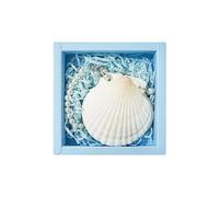 Natural Shell Adorned Writing Notebook with 30 Sheets Unruled for Students and Artists Journaling and Travel Sketching Bronze Paper Notebook