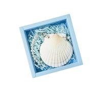 Natural Shell Covered Journal Notebook with 30 Sheets Unruled Pocket Diary for Artists and Writers Journaling Sketching Shell Journal