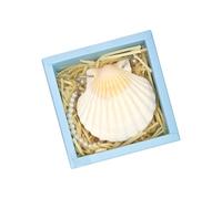 Natural Shell Covered Journal Notebook with 30 Sheets Unruled Pocket Diary for Artists and Writers Journaling Sketching Shell Journal