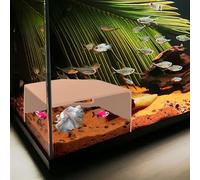 Natural Shrimp Cave for Aquarium - Safe Fish Tank Decor, Breeding Hideout for Freshwater Shrimp, Cichlids & Small Fish