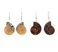 Natural Snail Ammonite Spiral Whorl Conch Shell Fossils Nature Color Animal Pendant Dangle Hook Earring Women Jewelry