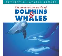 Relax With Nature 7 - Dolphins and Whales