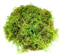 Natural Sphagnum Moss 200g Artificial Moss Decoration Forest Moss Dried Moss for Potted Plants Craft Moss Orchid Soil Medium for Terrarium Decor Reptile Snails Gecko Snake Turtles Substrate Habitat