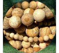 Natural Stone Beads Matte Amazonite Pink Zebra Jaspers Tiger Eye Turquoises Agates Frosted Beads for Jewelry Making DIY Bracelet-Picture Jasper-10mm 36-37pcs