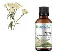 Natural Tincture White Yarrow- Achillea Millefolium Yarrow Herbal Extract - 50ml