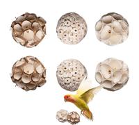 Natural Toy Set for - Sparrow Shredding Balls 20x13x6.5cm | 30g Swing Chew 6 Pieces Chewable Toy, 7.87x5.12x2.56 inch Lightweight Chew Toy