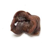 Natural Treats Dried Pig Snouts for Dogs (150g) Hypoallergenic Grain Free High Protein Highly Digestible Snacks