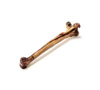 Natural Treats Long Ostrich Metatarsus Bone (1pc) Low Fat Dental Dog Treats