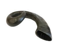 Natural Treats Small Buffalo Horns (1pc) Long Lasting Dental Chew Dog Treat