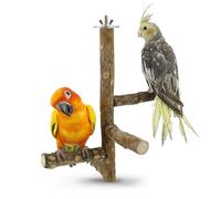 Natural Wood Bird Branch Stand Pet Parakeet Hanging Play Toy Bird Cage Parrot Wooden Desk Holder Perches Platform