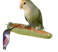 Natural Wood Bird Toy Standing Treat Perch Stick Chew for 7 Inch Parrot with Textured Durable Bamboo Enrichment Accessory Cage Play Stand