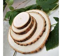 Natural Wood Slices, 10 pcs Unfinished Pine Wood Circles with Bark for DIY Crafts Multiple Sizes(12-13cm(4.7-5.1in))