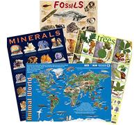Natural World 4 Poster Set - Minerals, Fossils, Animals, Trees Learning Charts/Educational Posters