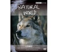 Natural World - Lobo: The Wolf that Changed America [DVD]