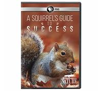 NATURE: A Squirrel's Guide to Success DVD