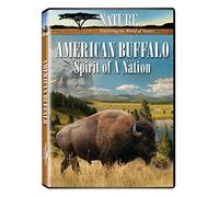 Nature: American Buffalo Spirit of a Nation [DVD] [Region 1] [US Import] [NTSC]