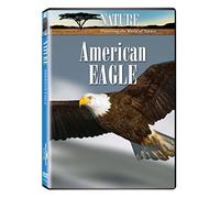 Nature: American Eagle [DVD] [Region 1] [US Import] [NTSC]