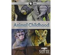 Nature: Animal Childhood [DVD] [Region 1] [NTSC]