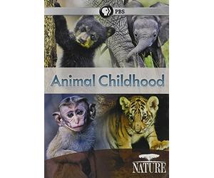 Nature: Animal Childhood [DVD] [Region 1] [NTSC]