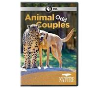 Nature: Animal Odd Couples [DVD] [2012] [Region 1] [US Import] [NTSC]