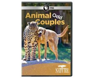 Nature: Animal Odd Couples [DVD] [2012] [Region 1] [US Import] [NTSC]