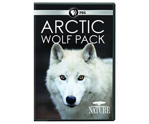 NATURE: Arctic Wolf Pack DVD
