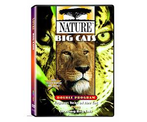 Nature: Big Cats [DVD] [Region 1] [US Import] [NTSC]