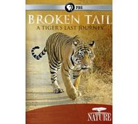 Nature: Broken Tail: A Tiger's Last Journey