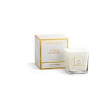 Nature Candle Linea le Divine - Scented Candle 100% Vegetable Wax with Natural Wick (330 g, Pear and Grey Amber)