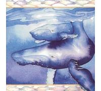 Nature CD - Council of the Humpback Whales (US Import)