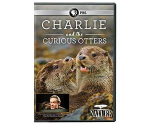 NATURE: Charlie and the Curious Otters DVD