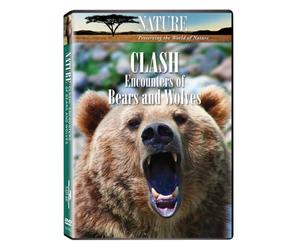 Nature: Clash: Encounters of Bears and Wolves [DVD] [2010]
