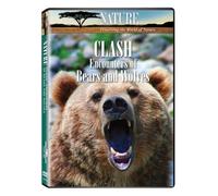 Nature: Clash: Encounters of Bears & Wolves [DVD] [2010] [Region 1] [US Import] [NTSC]