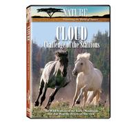 Nature: Cloud: Challenge of the Stallions [DVD] [Region 1] [US Import] [NTSC]