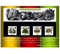 NATURE CONSERVATION SPECIES AT RISK 1986 PRESENTATION PACK NO. 171 * Royal Mail Mint British Stamps in Presentation Pack- MNH ** No. of Stamps: 4