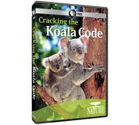 Nature: Cracking the Koala Code [DVD] [2012] [Region 1] [US Import] [NTSC]