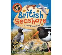 Nature Detective: British Seashore