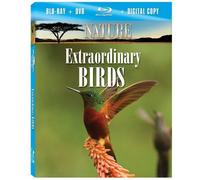 Nature: Extraordinary Birds [Blu-ray] by Questar