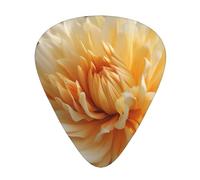 Nature Flowers Print Guitar Pick,12 Pack,Includes Thin,Medium,Heavy Gauges,Suitable for guitar,ukulele