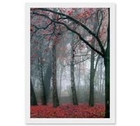 Nature Forest Tree Autumn Fall Beautiful Red A4 Artwork Framed Wall Art Print Artery8 White One Size