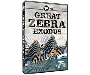 Nature: Great Zebra Exodus [DVD] [Region 1] [US Import] [NTSC]