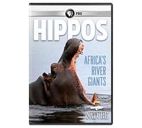 NATURE: Hippos: Africa's River Giants [DVD]