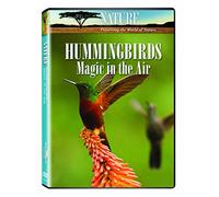 Nature: Hummingbirds - Magic in the Air