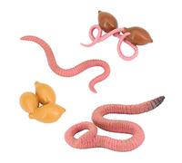 Nature Insects Growth Cycle Life Cycle Animal Figure Model Toys Earthwarm