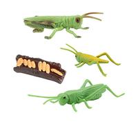 Nature Insects Growth Cycle Life Cycle Animal Figure Model Toys Locust