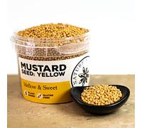Nature Kitchen Yellow Mustard Seed 80g Pot Whole Spice, Gluten Free, Vegan Friendly, Mild Nutty Heat for Pickling, Curries, Marinades, Sauces, Frying, Baking, Grilling and Everyday Cooking
